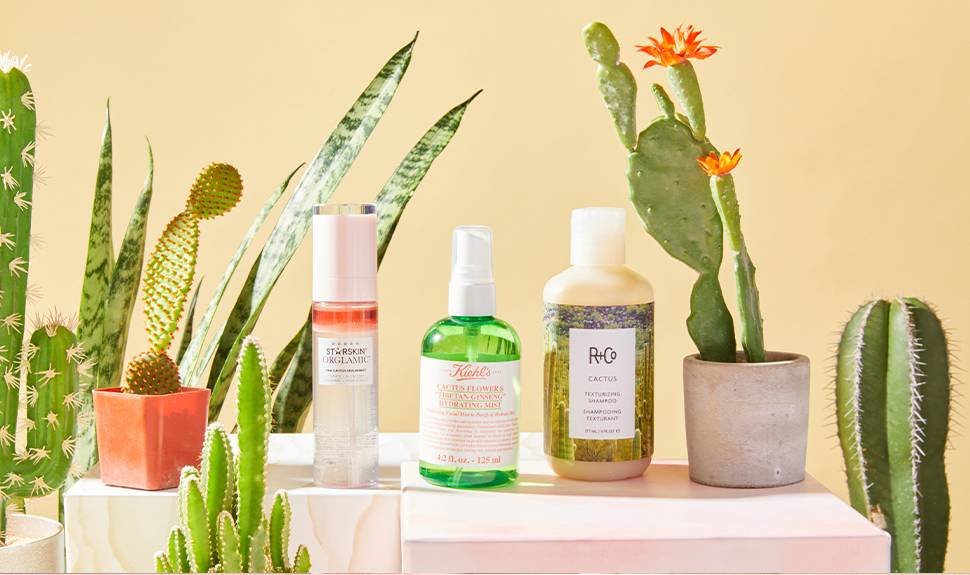 Cactus Is the Moisturizing Ingredient Your Skincare Routine Needs