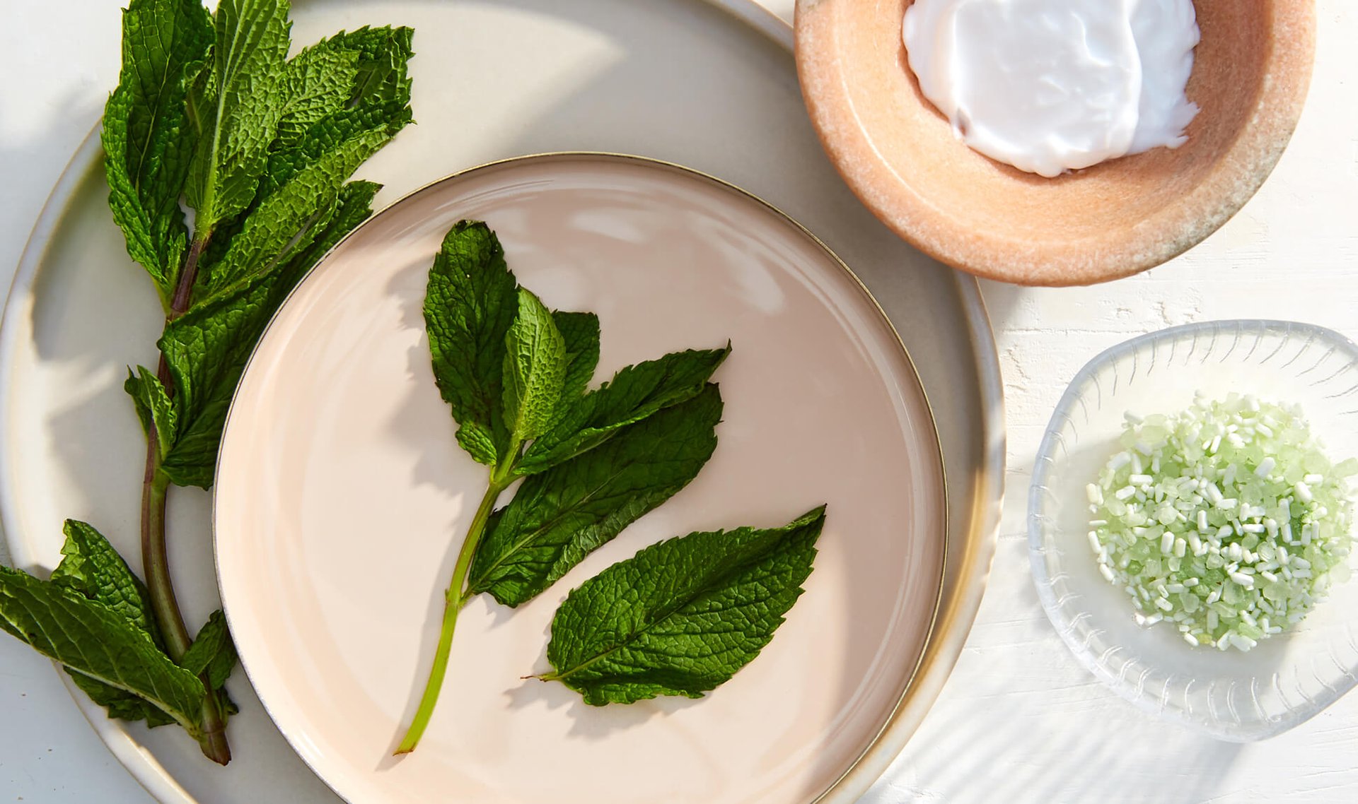 Derm DMs: What’s the Deal With Peppermint Oil in Skin Care?