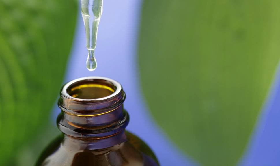 Tea Tree Oil 101: Learn More About This Buzzed-About Ingredient