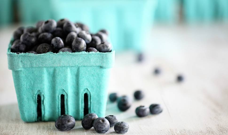 Red, White, and Beautiful: The Skin Care Benefits of Blueberries