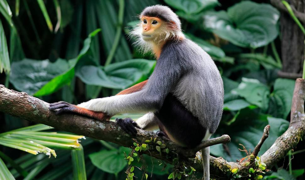 The Body Shop Is Building Bio Bridges: How You Can Help #FindReggieLove