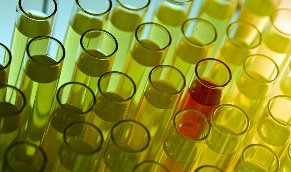 Why Everyone's Talking About Platelet-Rich Plasma